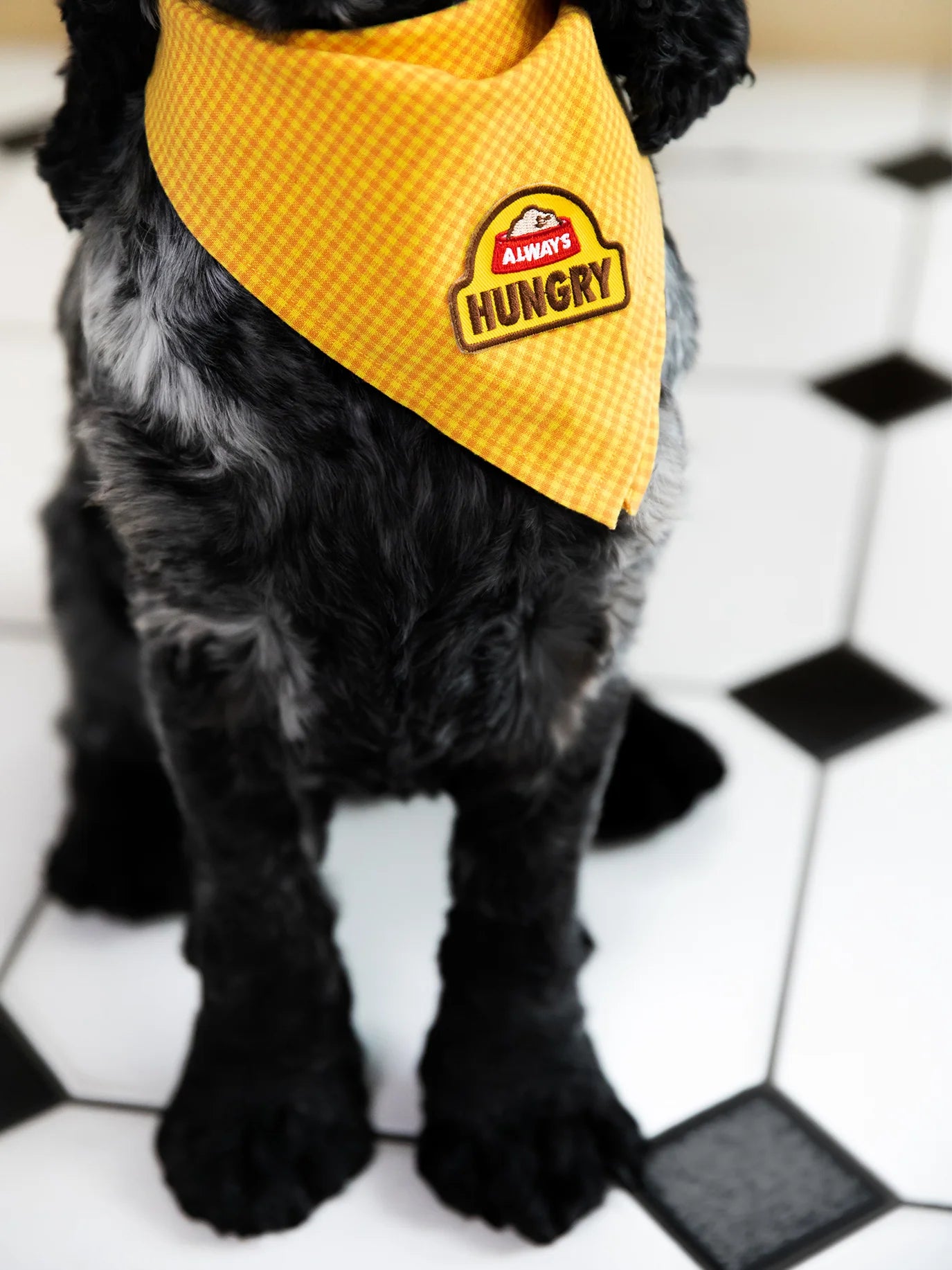 Bagde "Always Hungry"