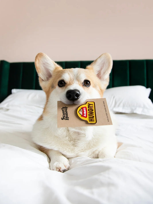 Bagde "Always Hungry"