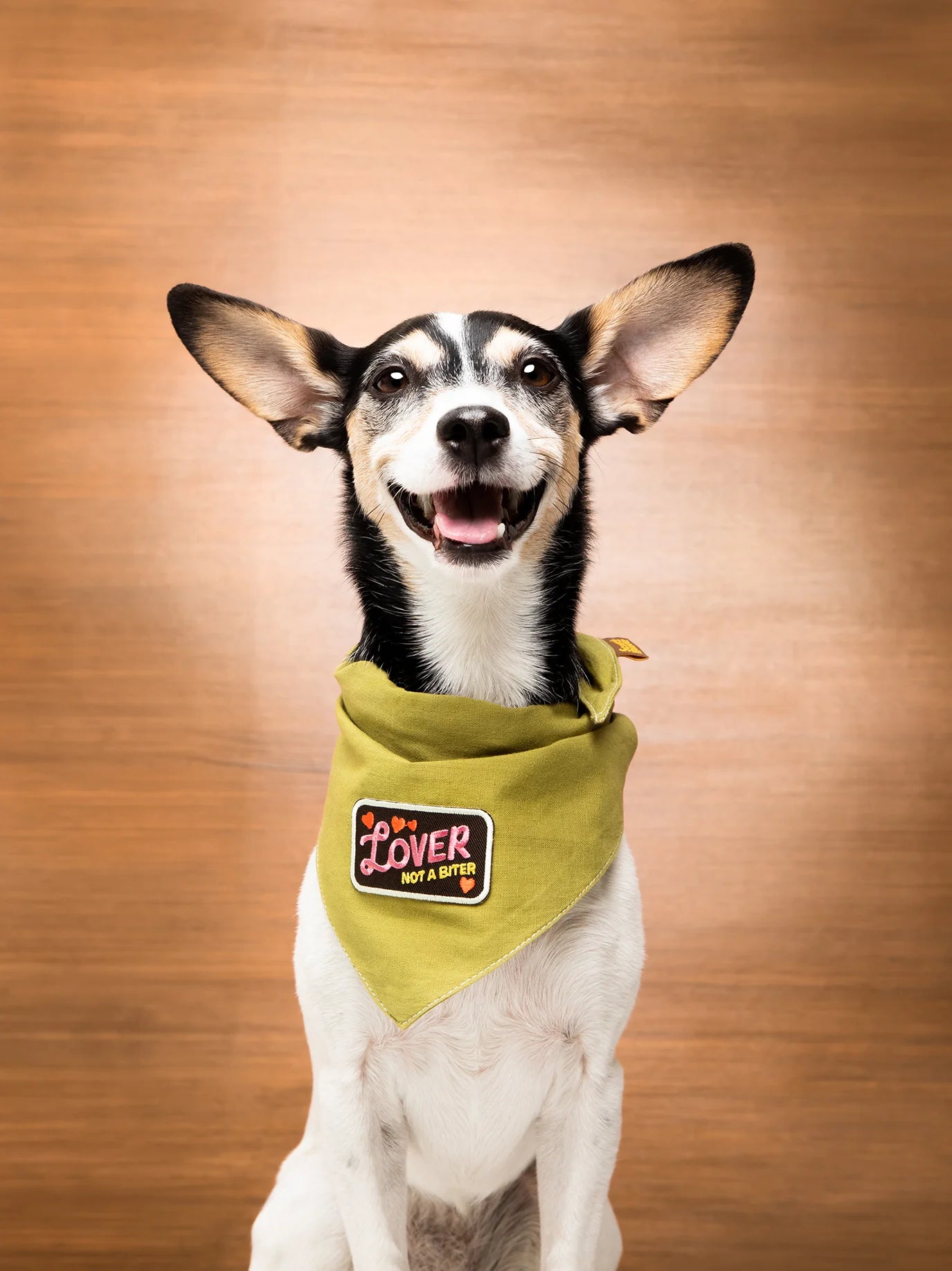 Badge "Lover not a Biter"