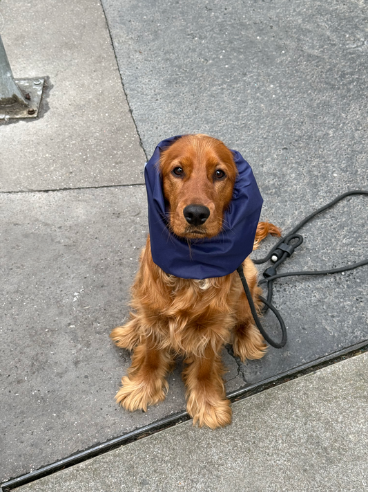 Snood imperméable Midnight blue