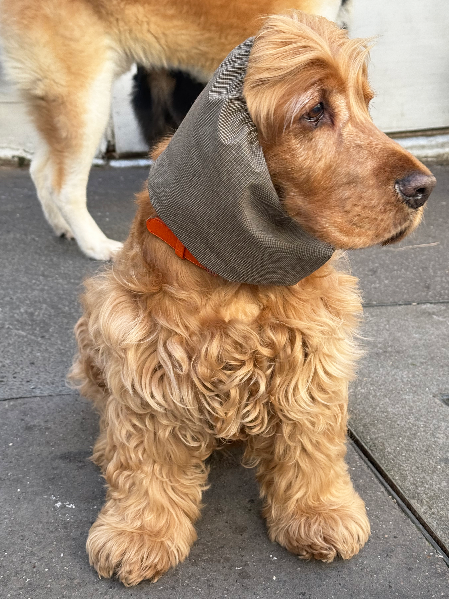 Snood Gentleman Farmer