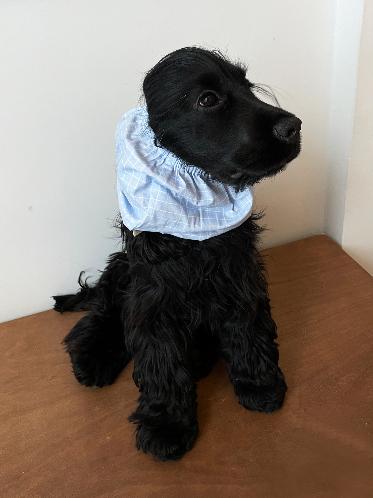 Snood à motifs