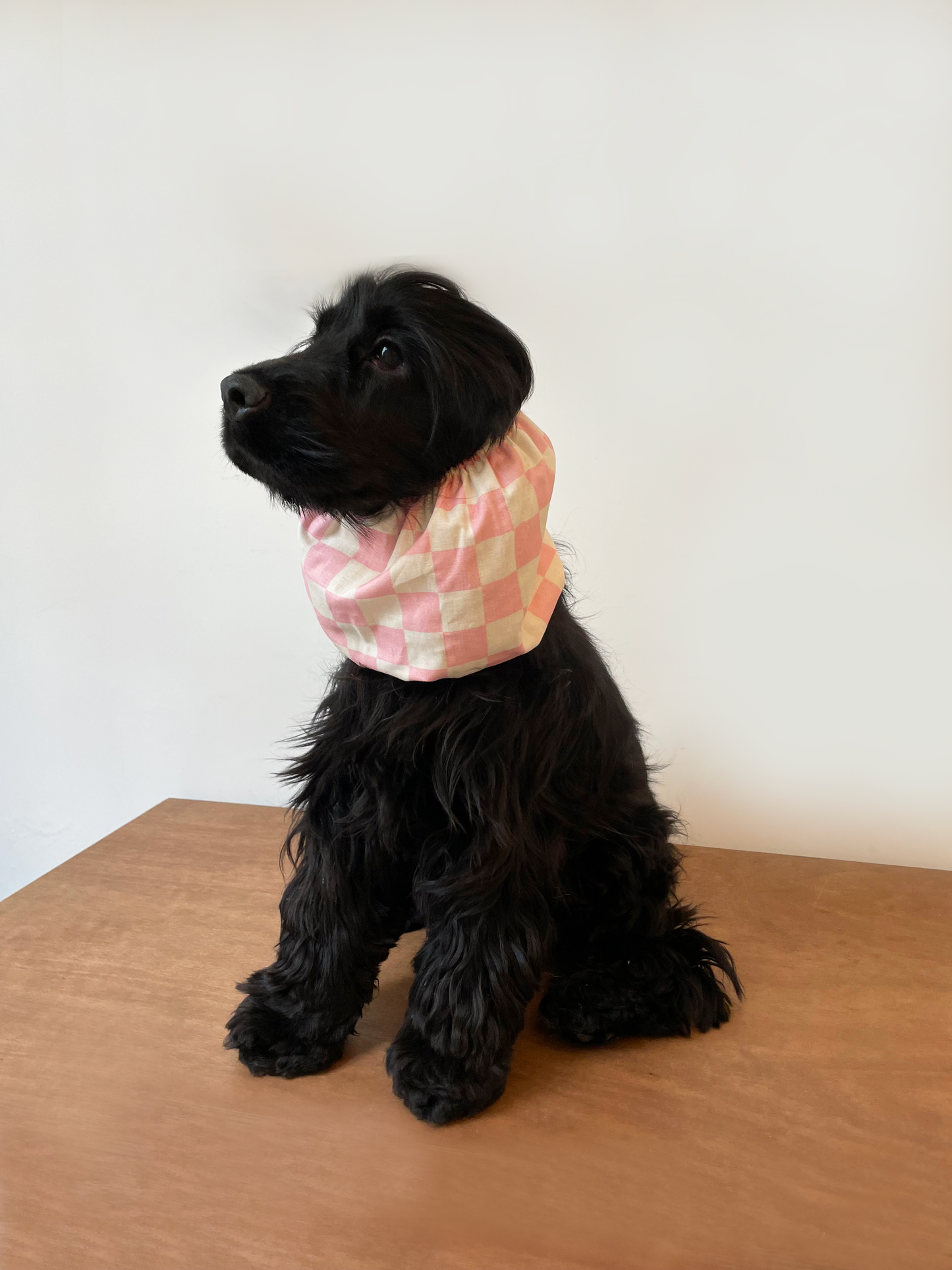 Snood à motifs