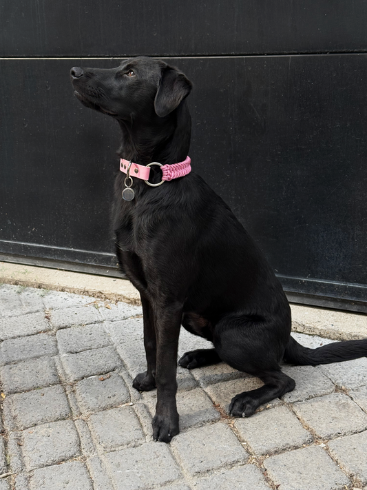 Collier bi-matière Sorbet