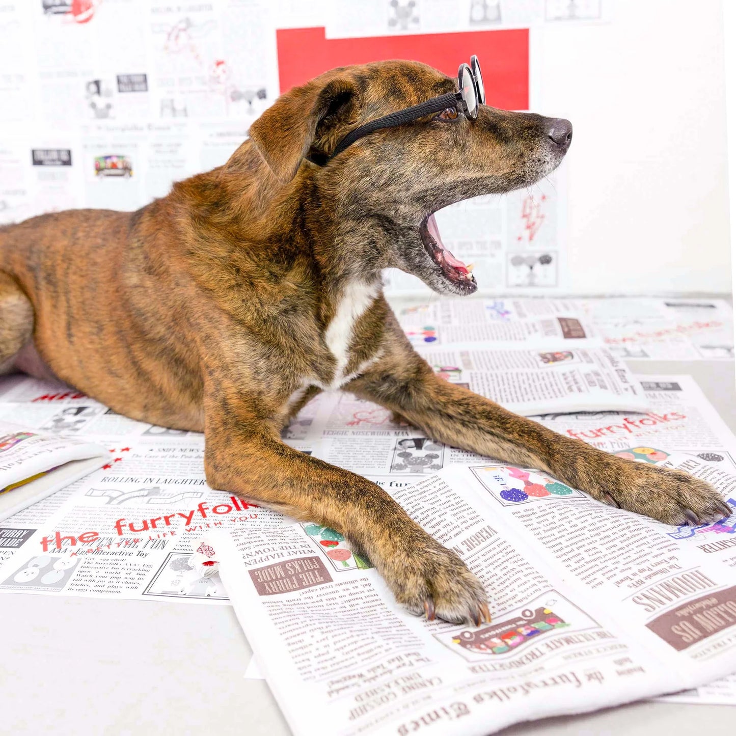 Jouet de fouille Newspaper
