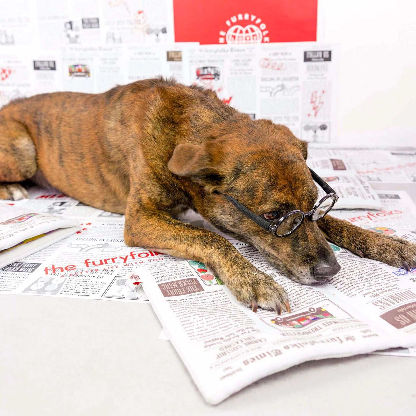 Jouet de fouille Newspaper