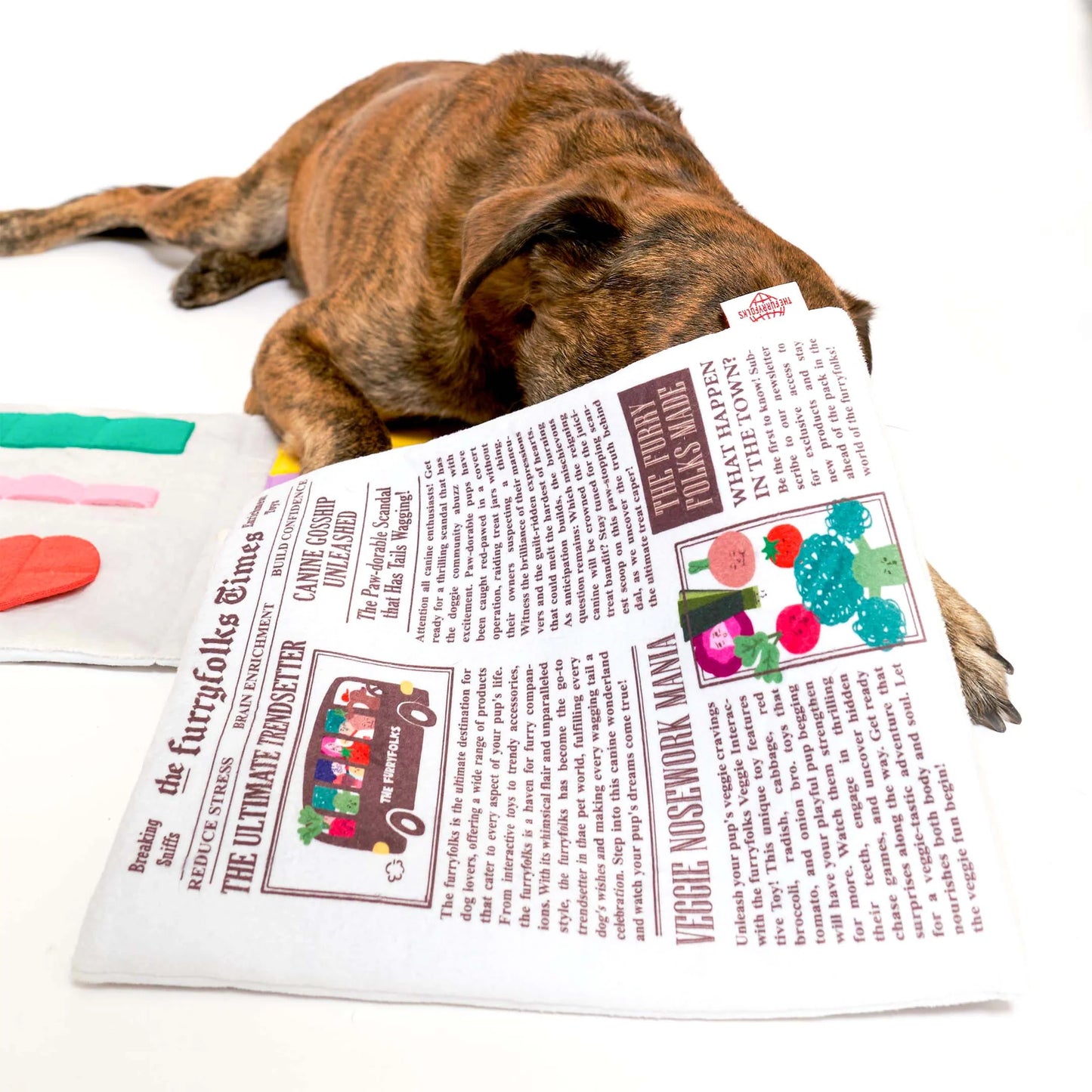 Jouet de fouille Newspaper