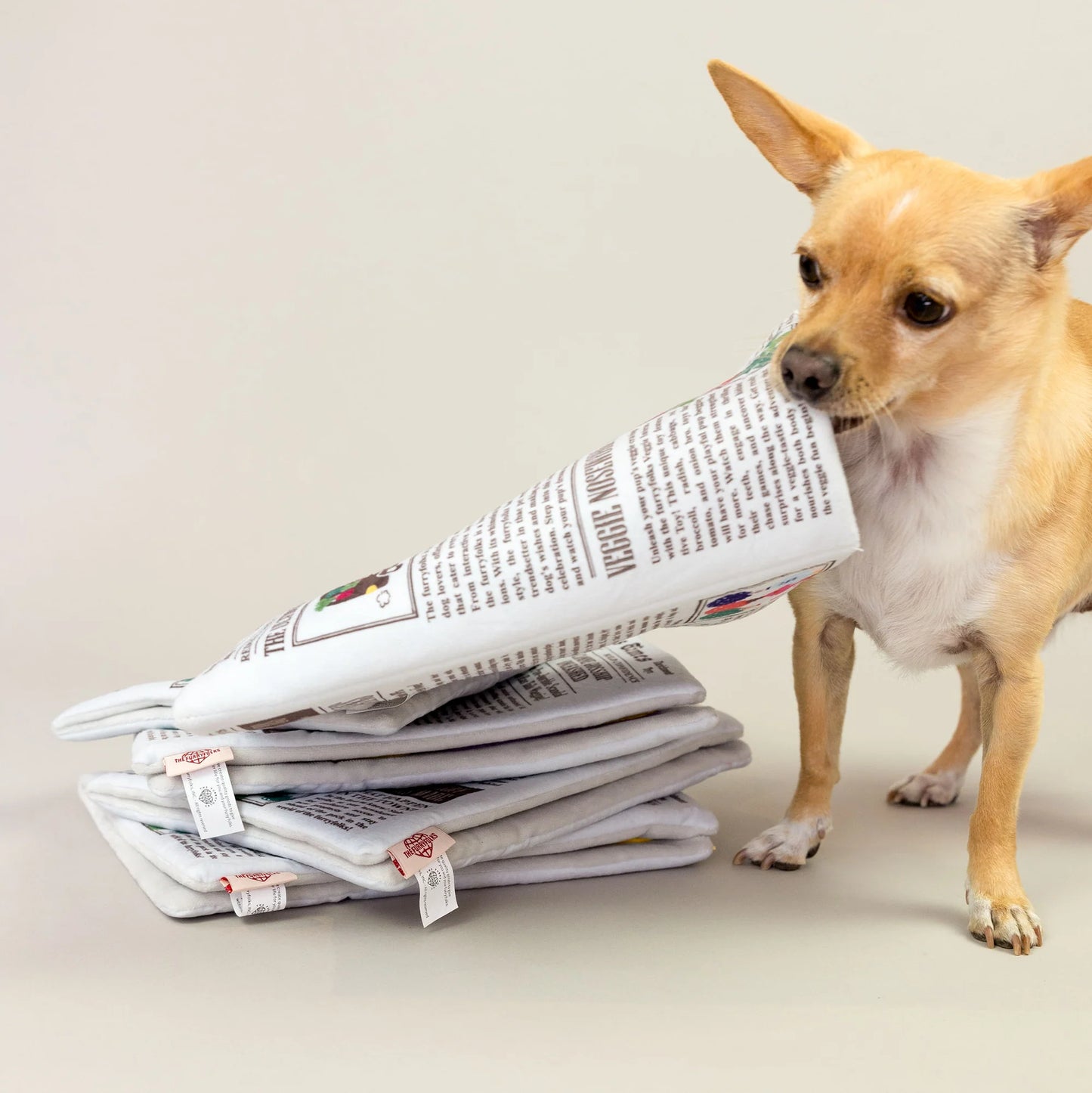 Jouet de fouille Newspaper