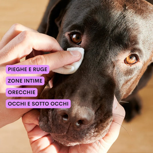 Lait nettoyant yeux et oreilles This is latte