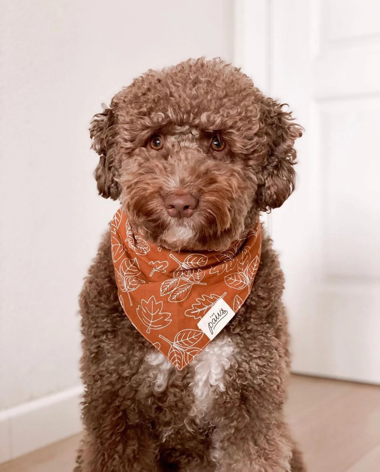 Bandana True North