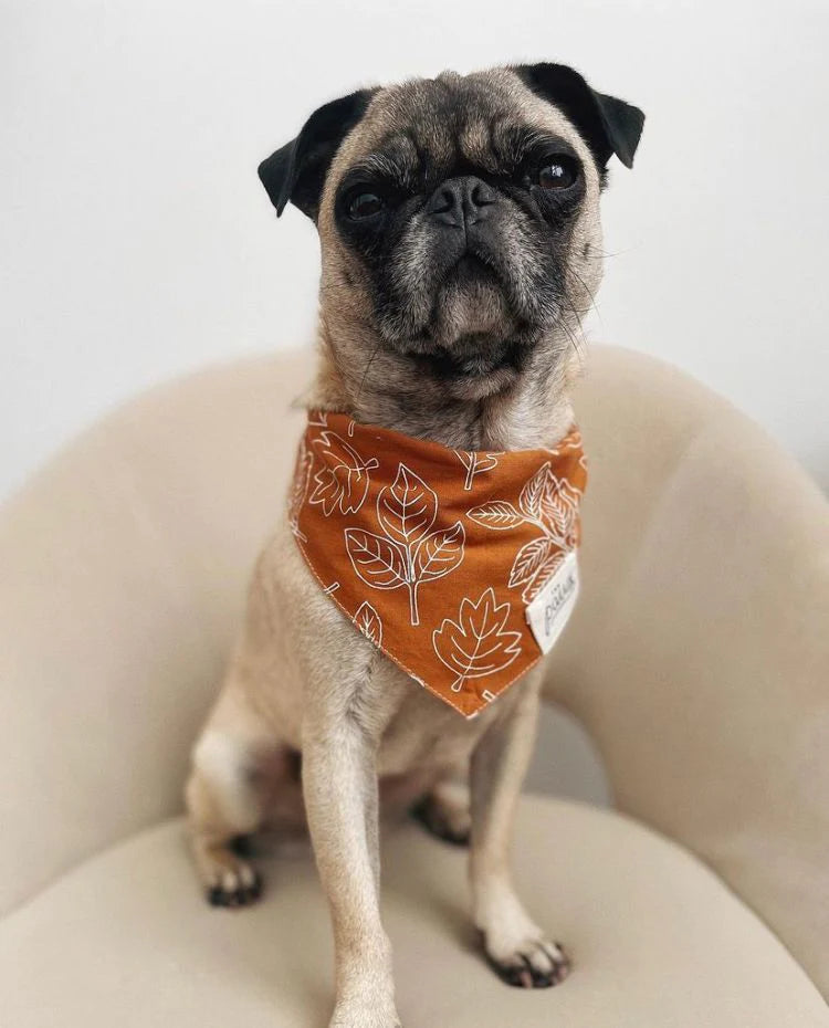 Bandana True North