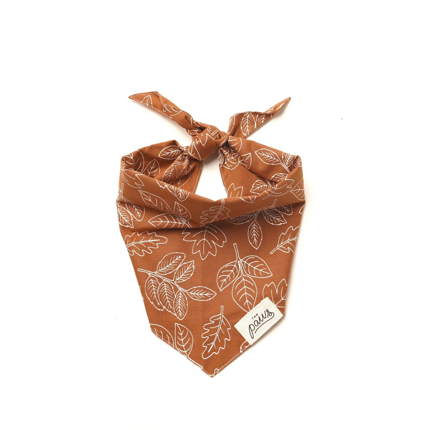 Bandana True North