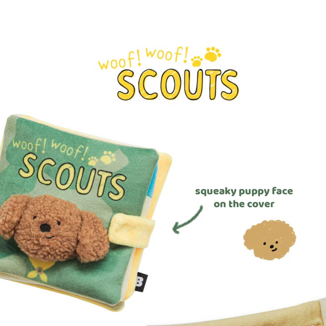 Livre de fouille Scouts