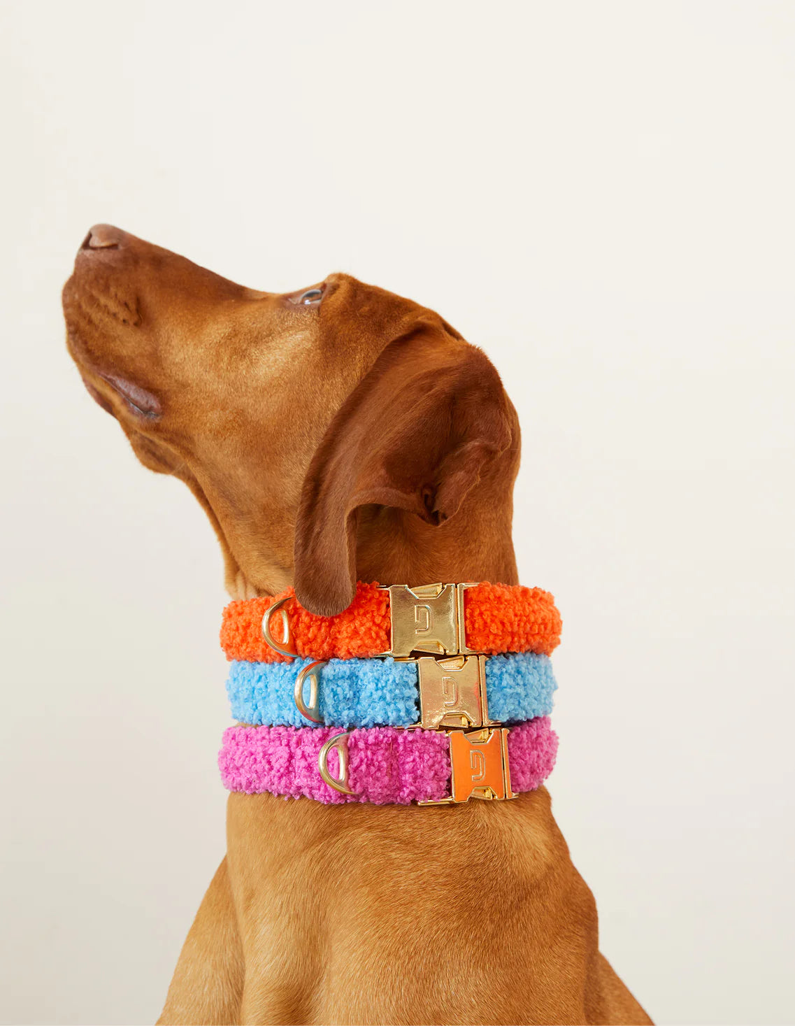 Collier Teddy