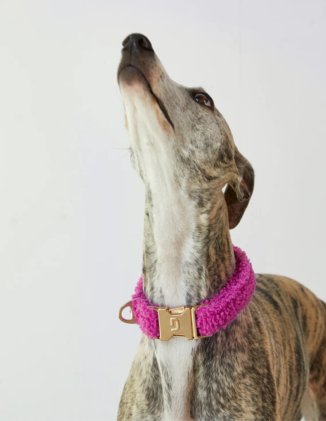 Collier Teddy