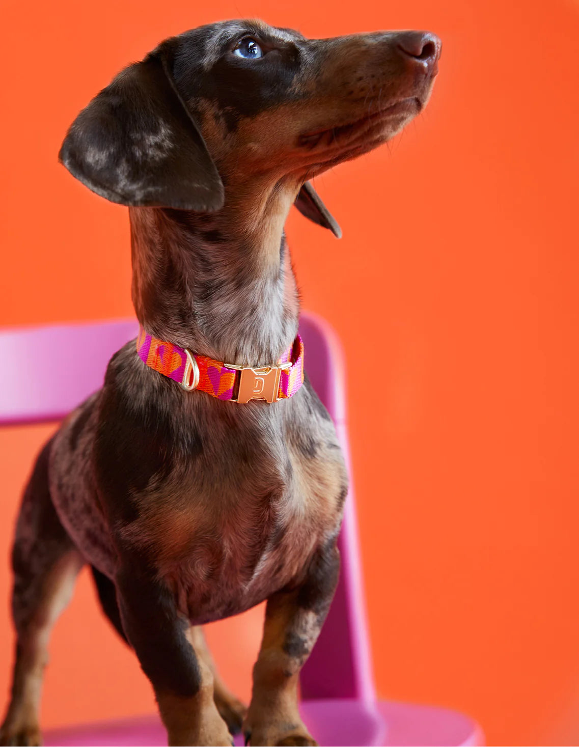 Collier Heart Orange/Raspberry
