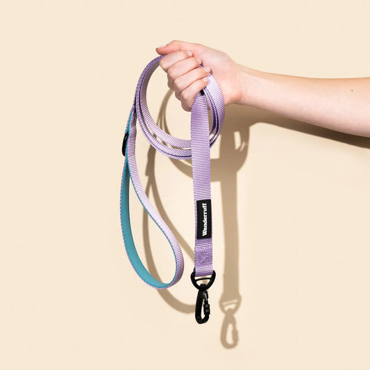 Laisse en sangle Daisy