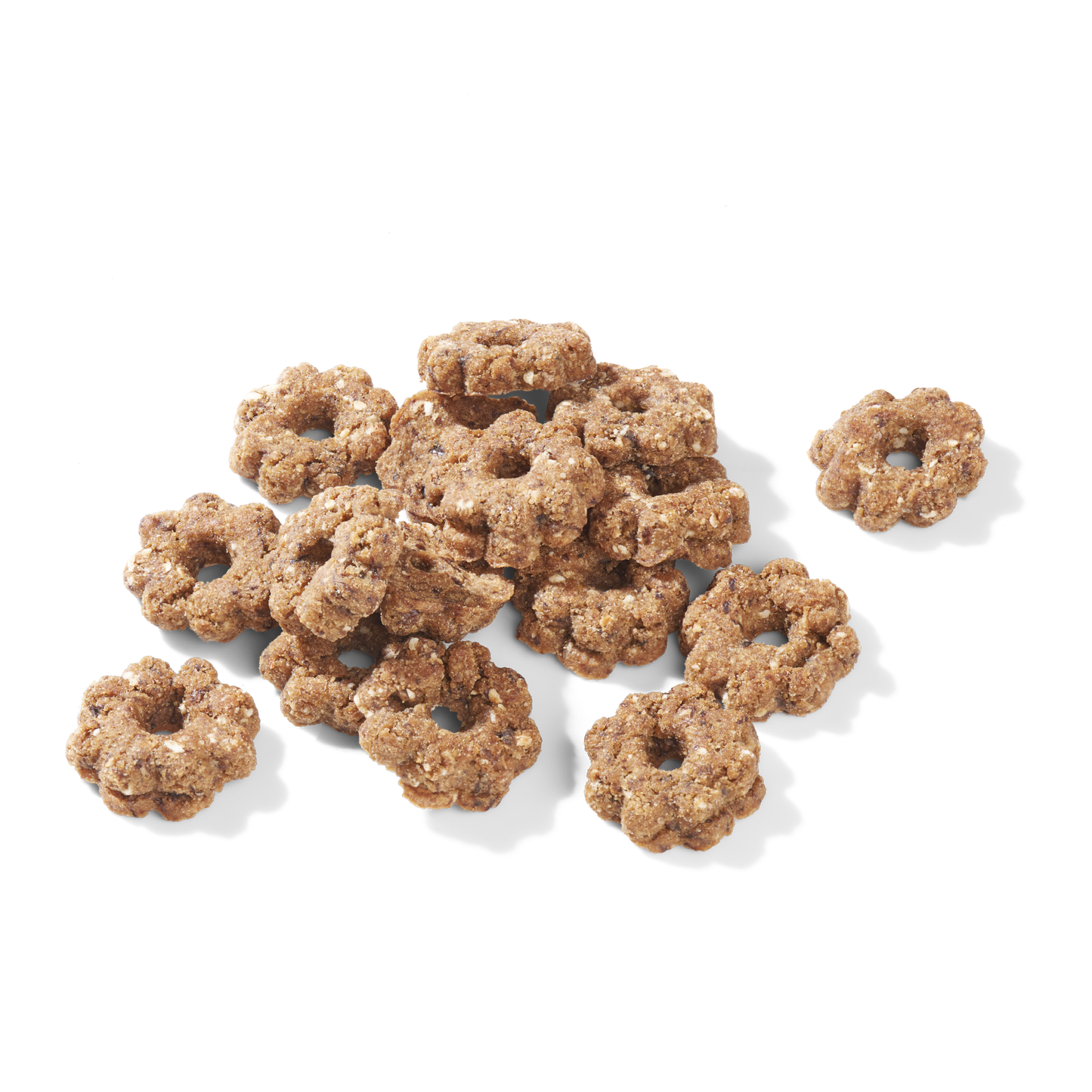 Friandises de Noël Canard
