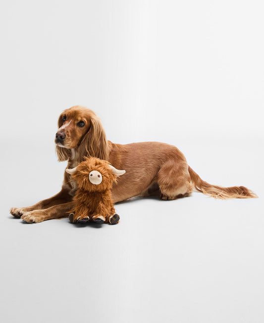 Jouet pour chien Barbour Highland Cow