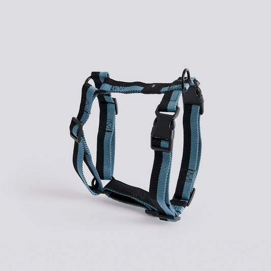 Harnais Blue/Black HAY