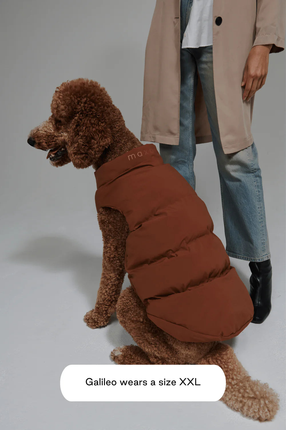 Doudoune pour chien