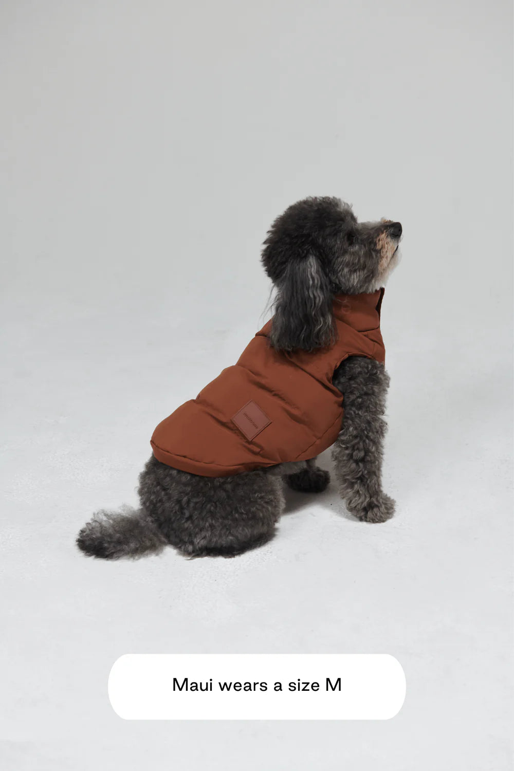 Doudoune pour chien