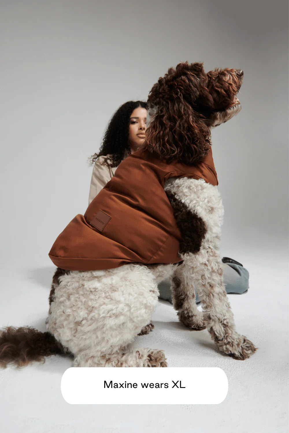Doudoune pour chien