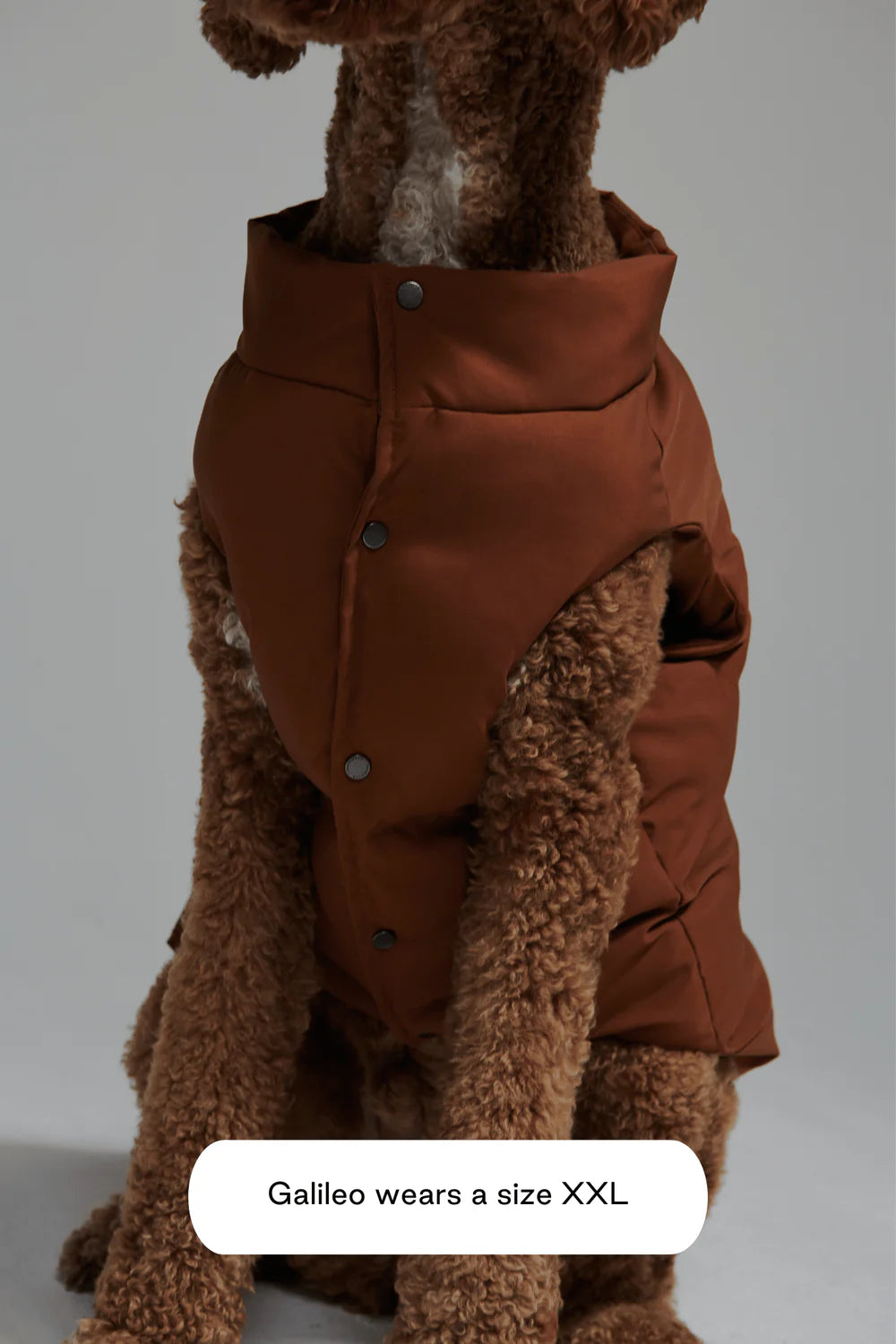 Doudoune pour chien