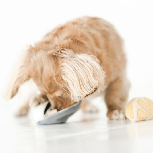 Jouet de fouille huitre et citron Gillardeau