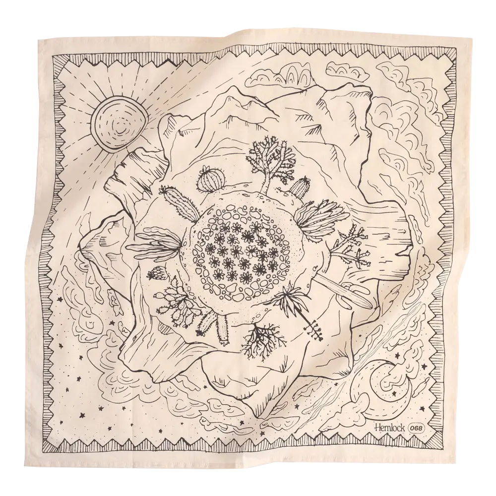 Bandana humain et chien Desert