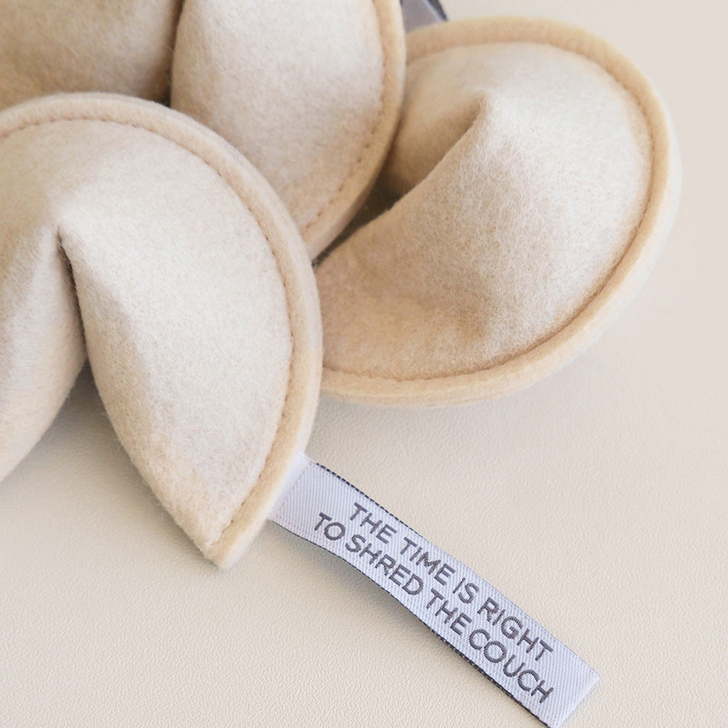 Jouet pour chat Fortune cookie