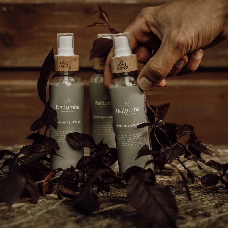 Spray démêlant lustrant