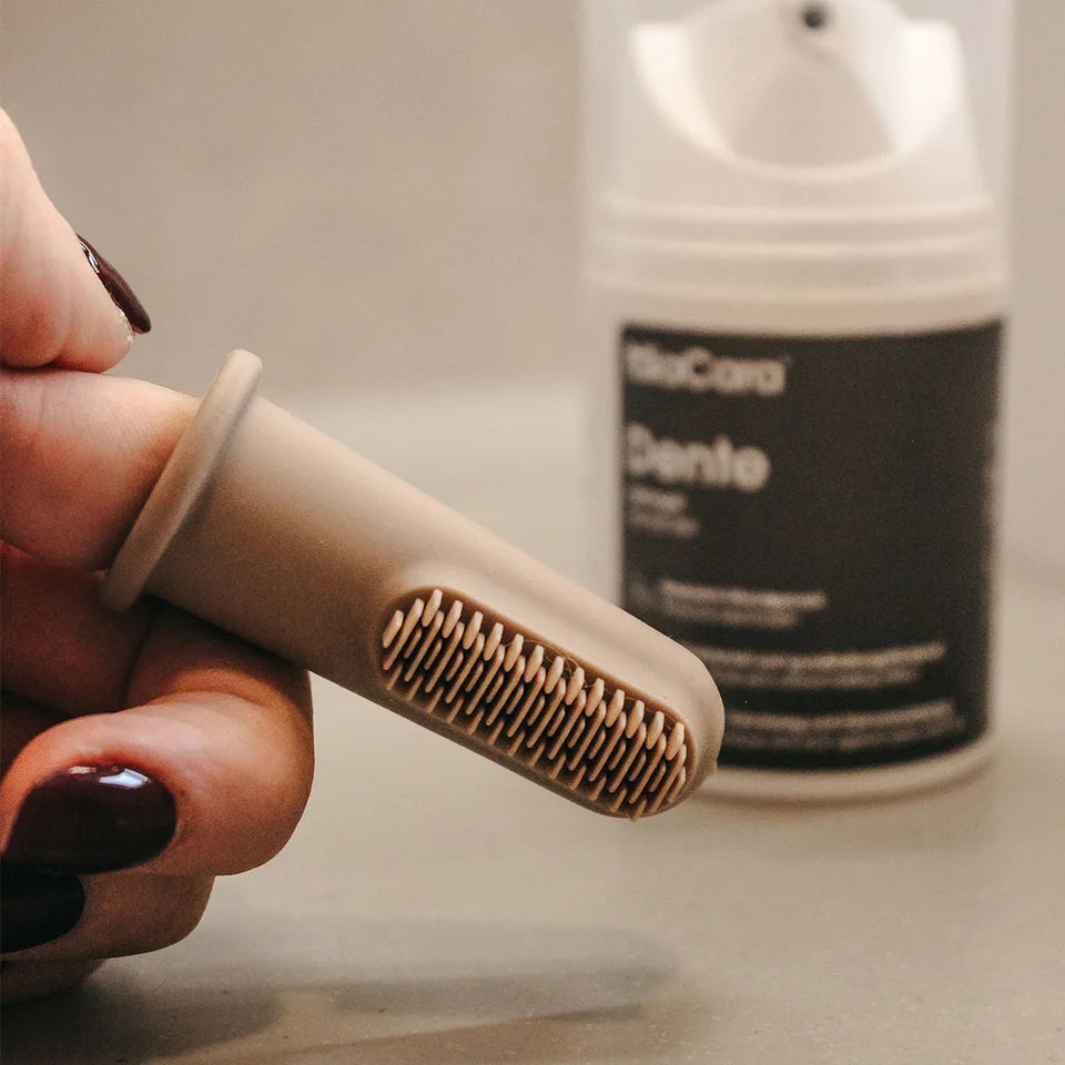 Brosses à dent en silicone x3