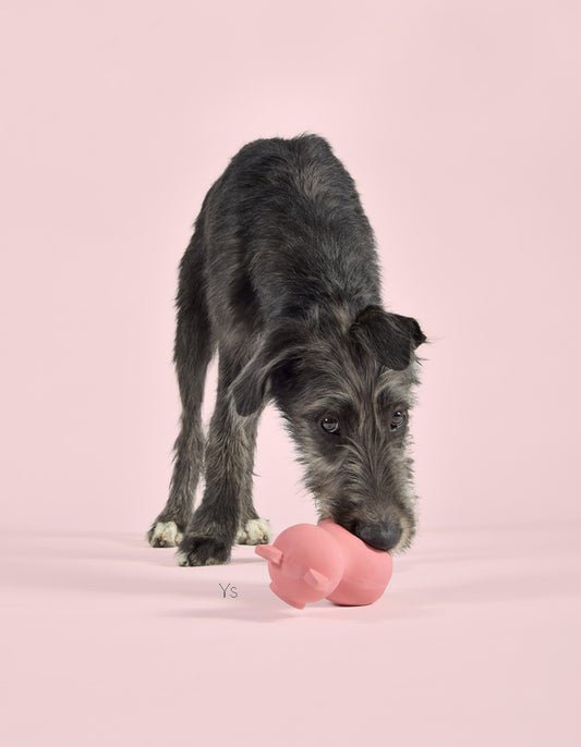 Jouet cochon en latex Pinky