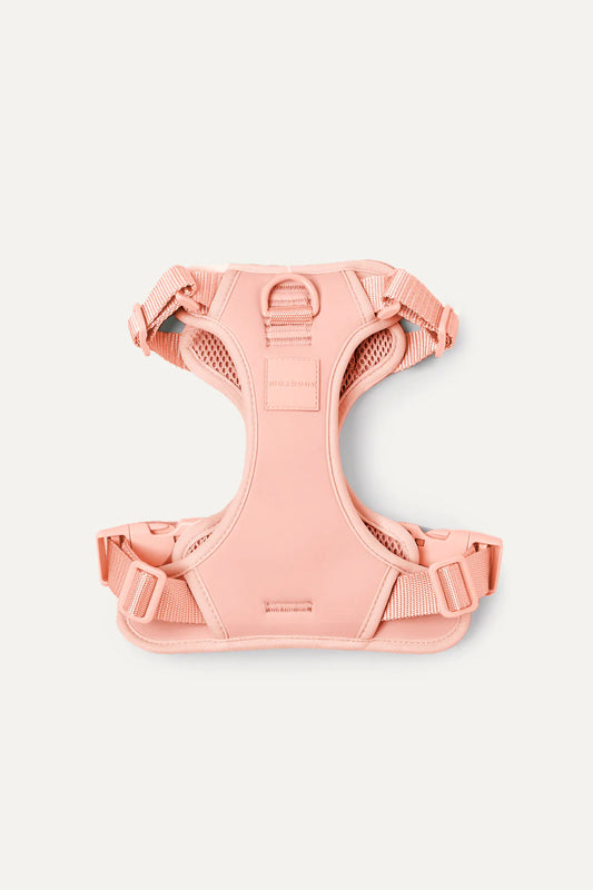 Harnais Double Panel Peach