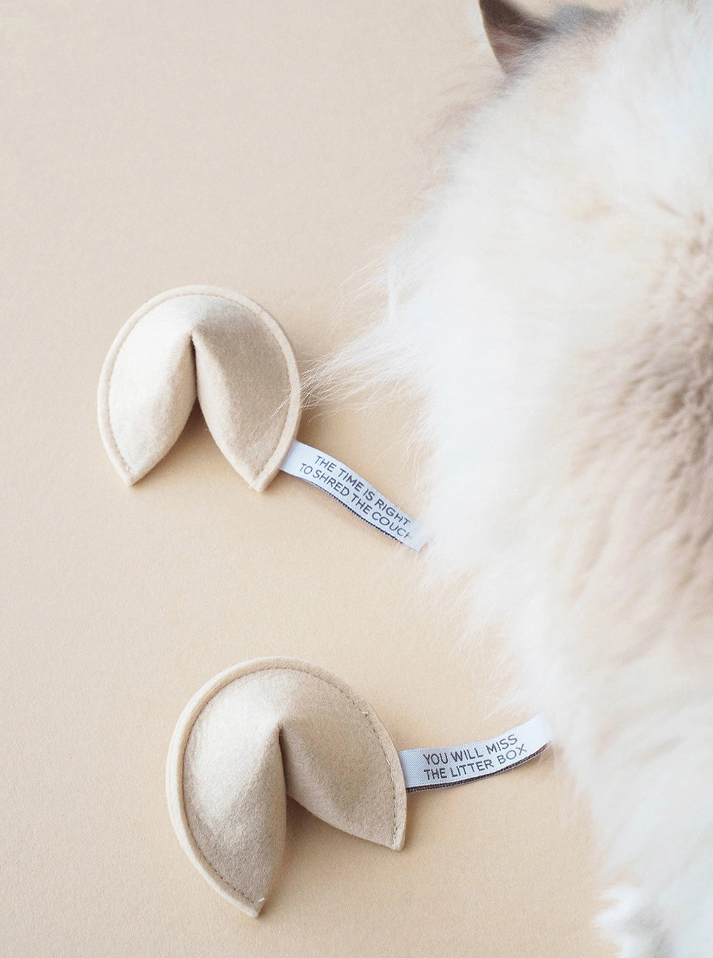 Jouet pour chat Fortune cookie