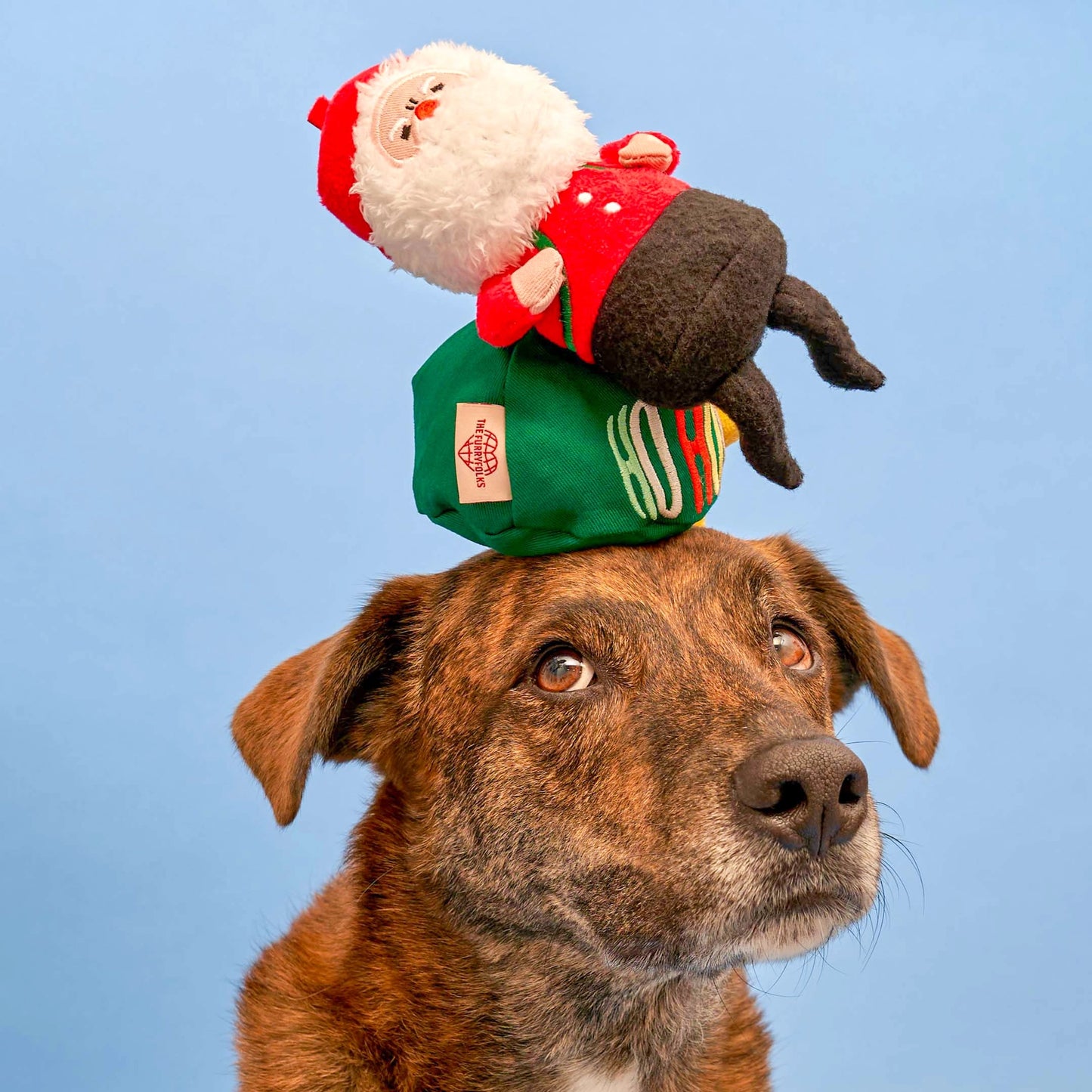 Jouet de fouille Santa Paws