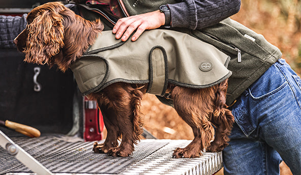Imperméable pour chien Olive