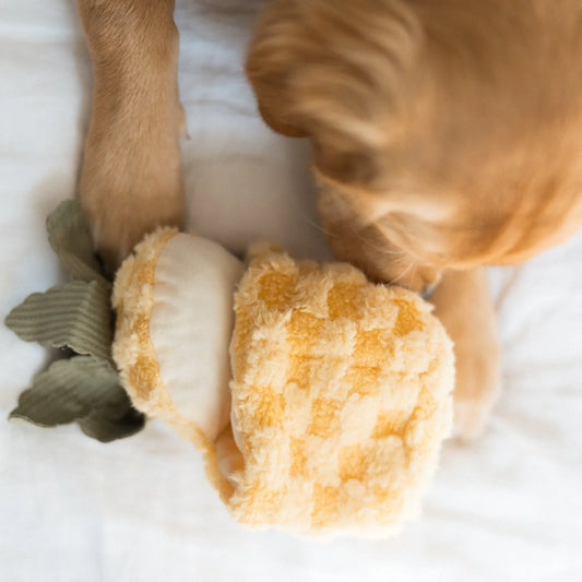 Jouet de fouille Ananas
