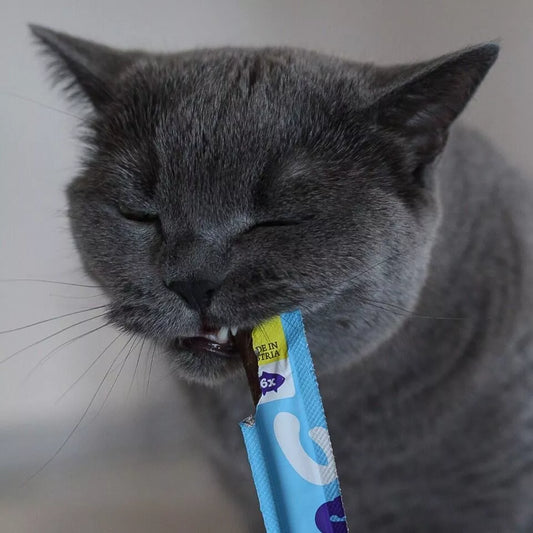 Soft Sticks au saumon pour chat