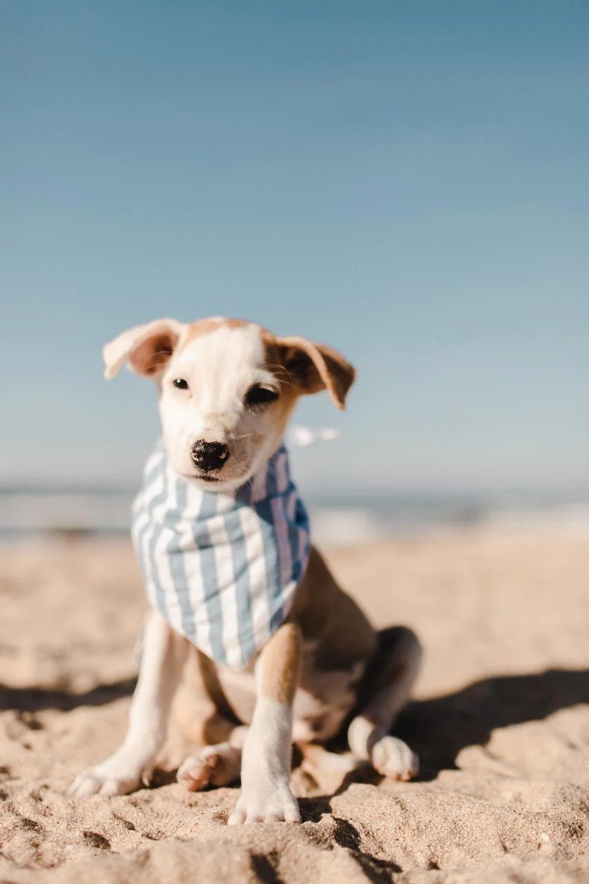 Bandana Cabana Blue Stripes