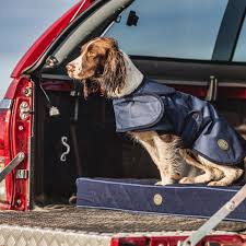 Imperméable pour chien Navy
