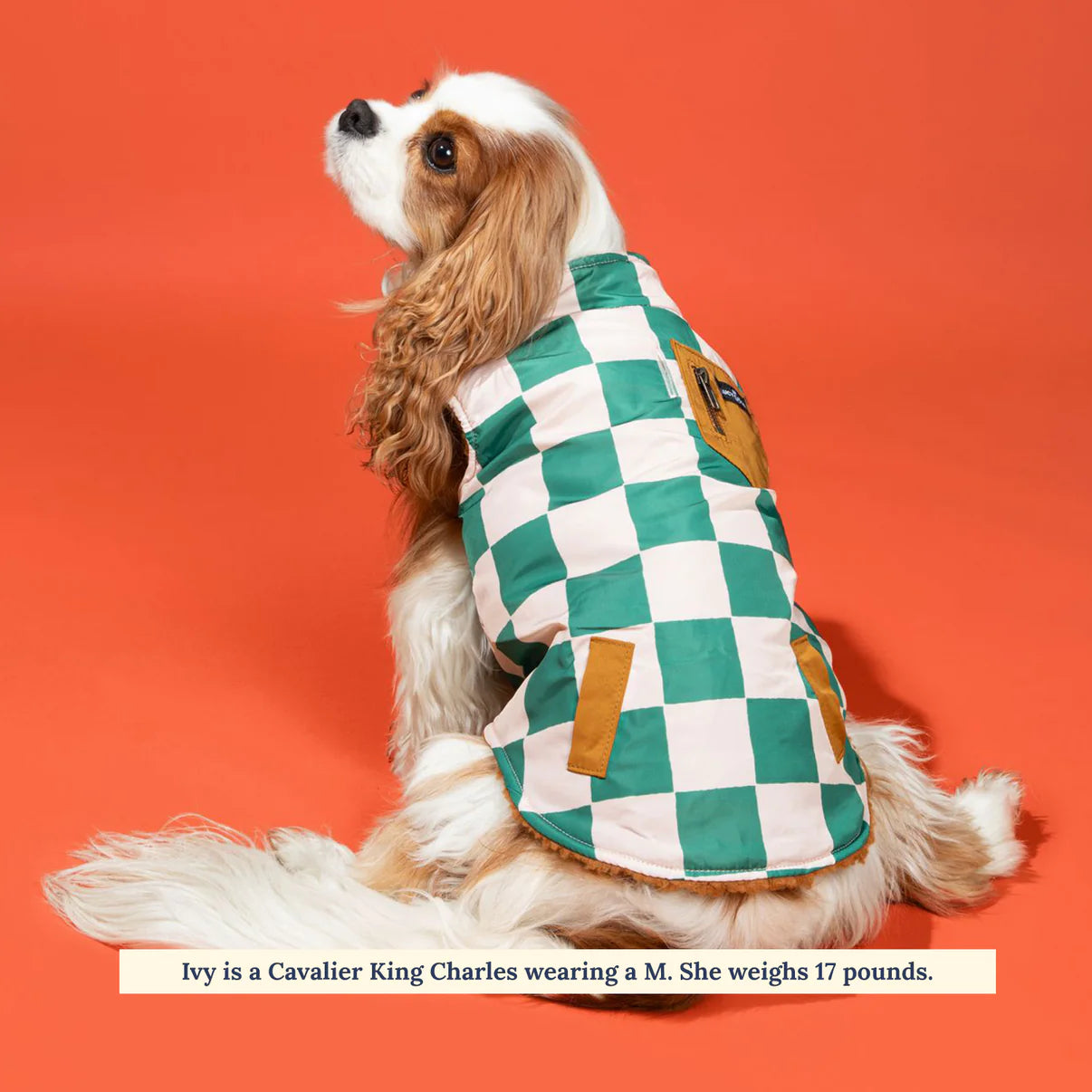 Veste réversible You're a Square Teddy
