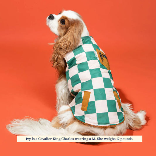 Veste réversible You're a Square Teddy