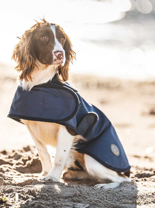 Imperméable pour chien Navy