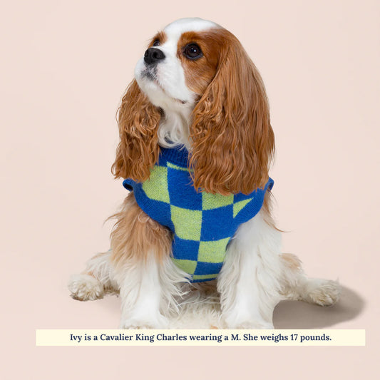 Pull Have a Nice Day