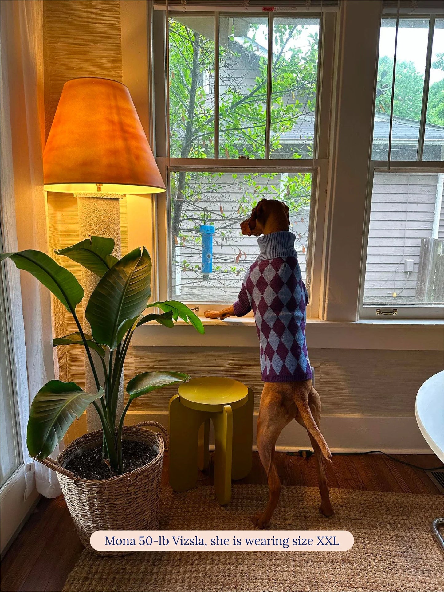 Pull Straight Outta Hamptons