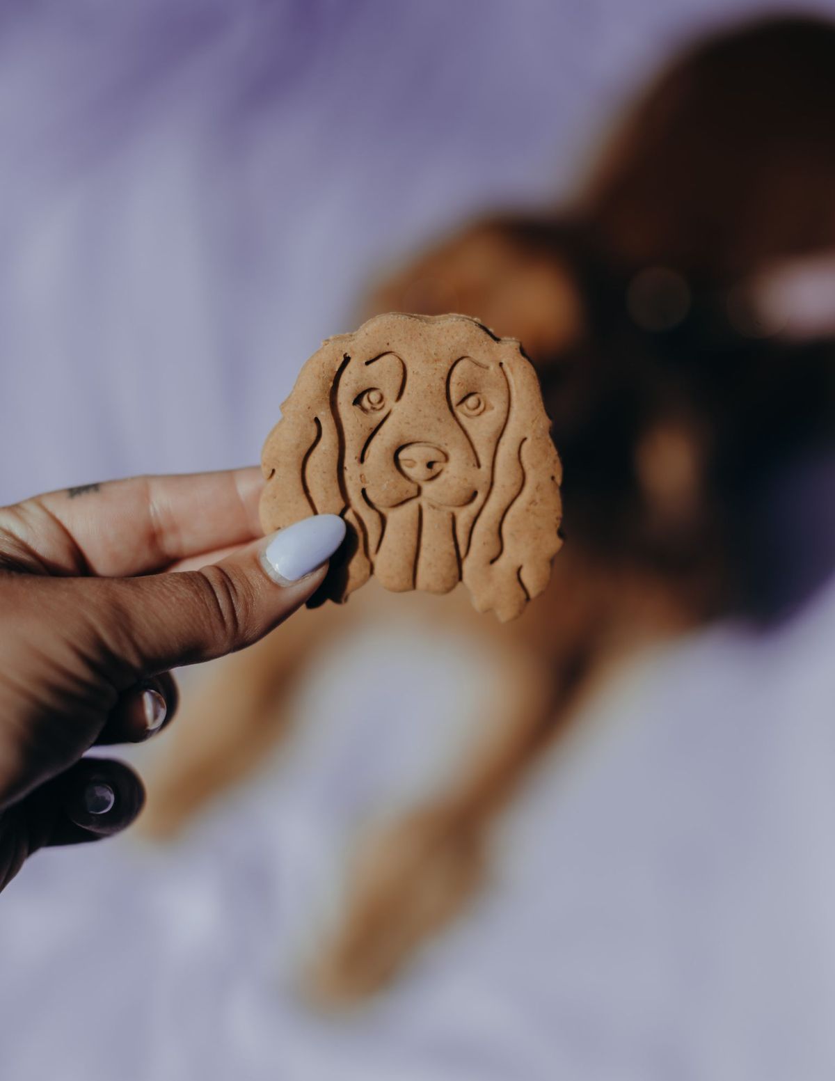 Biscuits Race de chiens