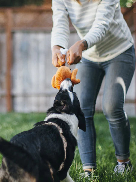 Peluche de Noël Dinde