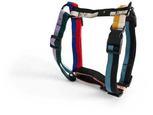 Harnais multicolore HAY